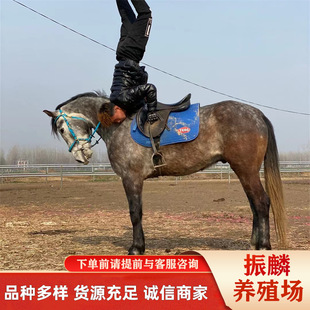 �B�R�������Rƥ ��c���΅^���R  �T���R�r�� �I�Rƥ���M�\ݔ����