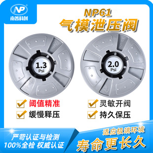 ���տƄ� ��ģй���yNP61 �p���y �Ś��y �_�y׼�_ �`��&plusmn;0.1Psi
