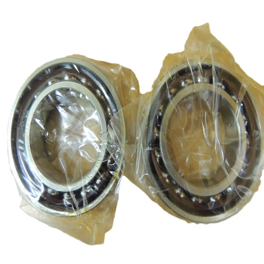 GMN轴承  BHT 6006 C TA P4 DUM