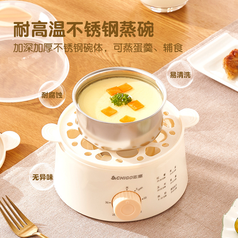 Zhigao Timer Egg Cooker Household Automatic Power Off Mini Steamer Multi-function Small Breakfast Egg Custard Machine Wholesale