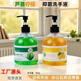 芦荟柠檬香氛抑菌洗手液大瓶家用按压瓶卫消证字母婴商用家用批发