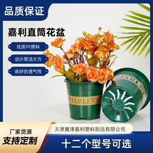 冀津嘉利直筒盆园林景观室内阳台多肉加仑盆绿植花盆透气花卉