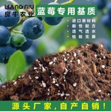 �W���䷽�{ݮ���|�I�B���M��ԭ�����{ݮ�Nֲ���،��÷Nֲ��