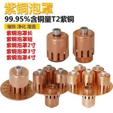 ���~������ñ���s�ἃ �������~���ᄾ��O�������� ���ݴ��װ�