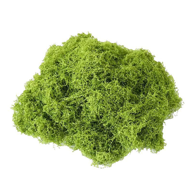 53965392-cf69-4caa-9b41-247031135b29.jpe