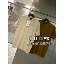 �����OӋ�{�ԣ�100�����ޣ��p�����C��ᘿ�����POLO����