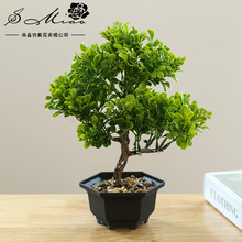 �ٻ�ӭ���ɷ���Gֲ�辰�x���S��ֱ�����滨����Ҿ��b�������