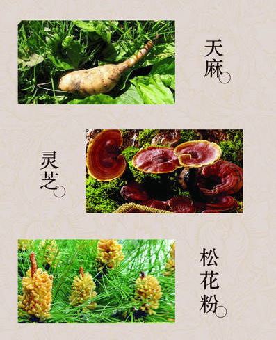 Ming Shi Bei He Granules (Tian Ma & Ling Zhi Blend) โ Sleep-Support Herbal Granule Sachets key features