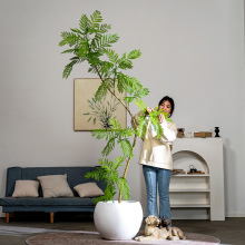 高级仿生植物蓝花楹假花树盆栽仿真绿植室内客厅奶油风装饰品摆件