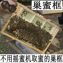 中蜂塑料巢框子蜜250克巢蜜框架塑料养蜂蜂箱野生不用巢框天然