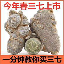 ��ɽ���߷���ϼ��������߷۳����ۻ��^������2030�^K