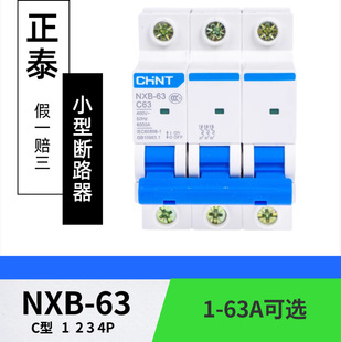 Chint Kunlun NXB-63 2P C Type 1 to 63A Miniature Circuit Breaker | Household Switch | Air Switch