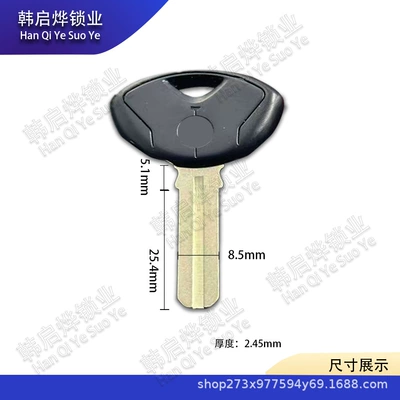Suitable for Bmw Motorcycle S1000Rr S1000R R1200Rt R1200Gs F800G Key Embryo (Motorcycle Key) - bmw-112-black-30585245mm