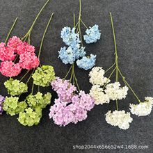 3^5[콑 滨 Ӱ巿ܛb cҾbٻ Ż