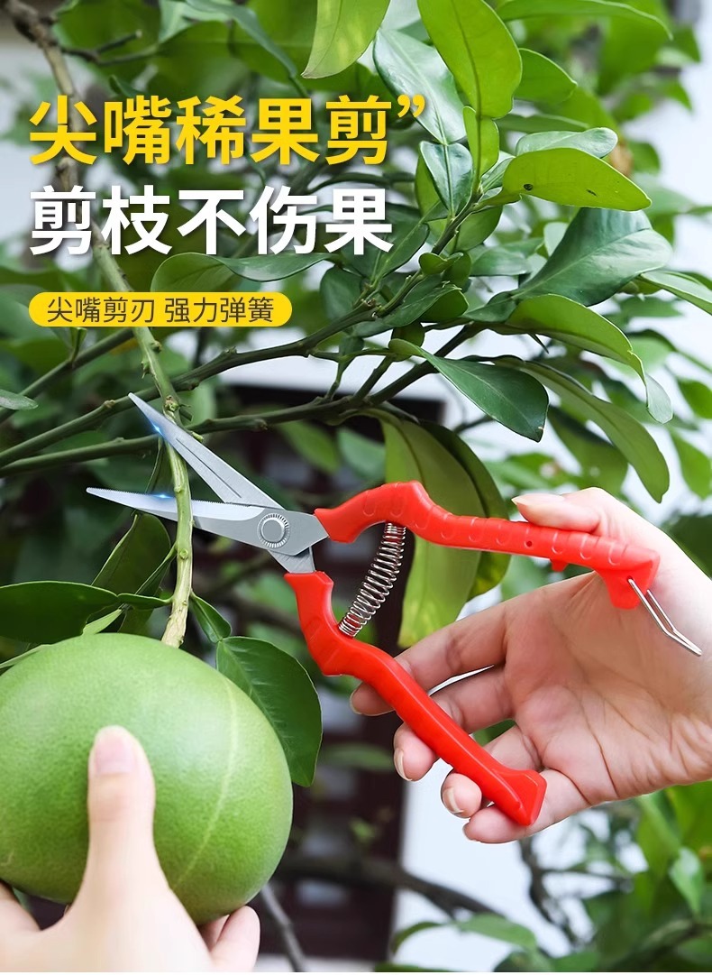 葡萄剪水果专用剪刀采果剪子弹簧修枝蔬果园艺疏摘果小剪树枝稀果-阿里巴巴