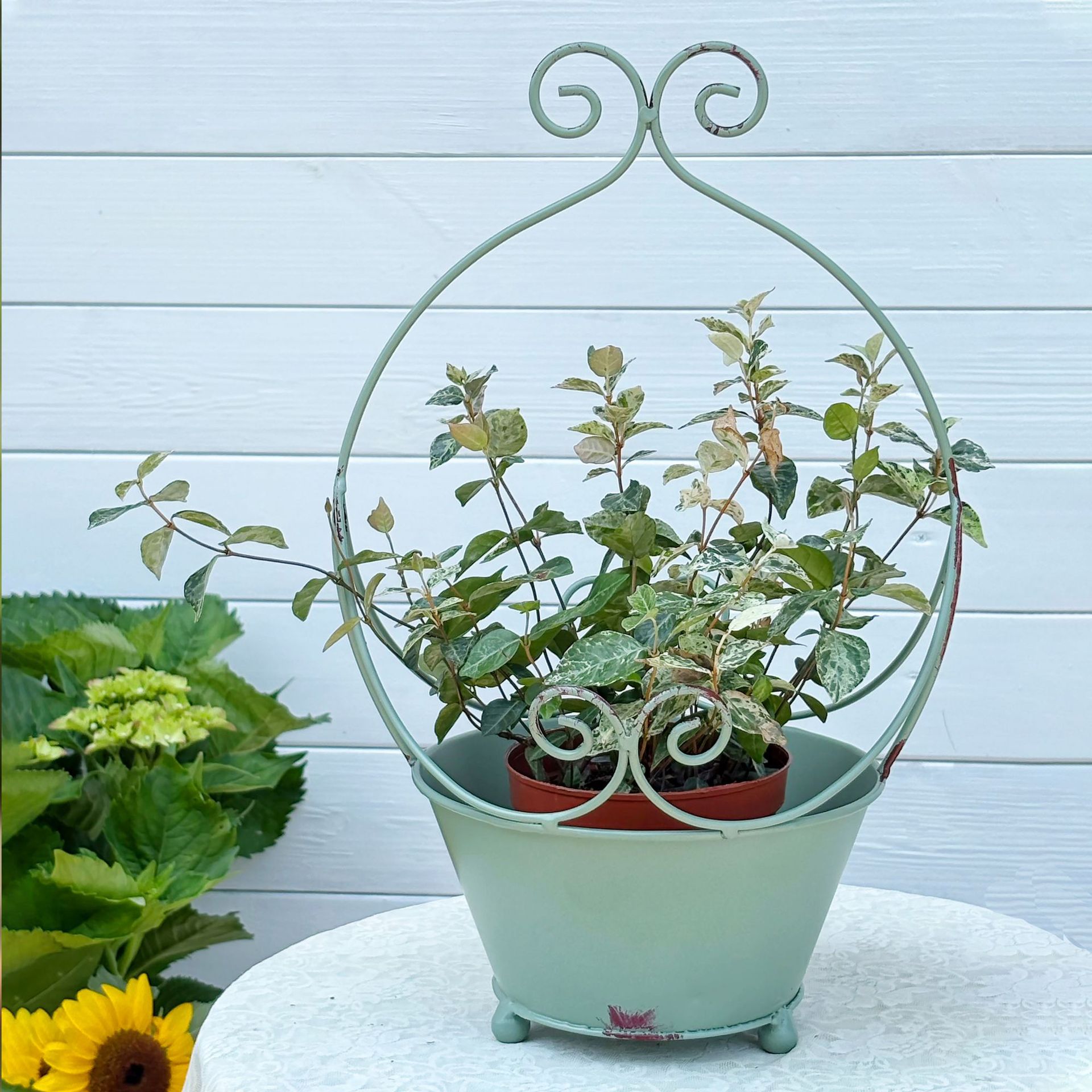 테무 크로스보더 이중 손잡이 바구니 일본식 철제 화분 레트로 빈티지 정원 장식 잡화 튤립 재배용 철통