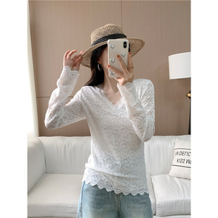 �p���L���|���s�ٽz��2026�����¿�����ׯ�@���L����������Ů