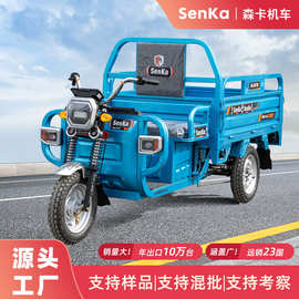 新款工厂电动三轮车货运农用爬坡载货翻斗拉货家用载重出口eec