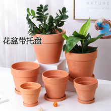 ���l�t�ջ������͸�⻨�� �п����������� ���H����⻨�莧�бP