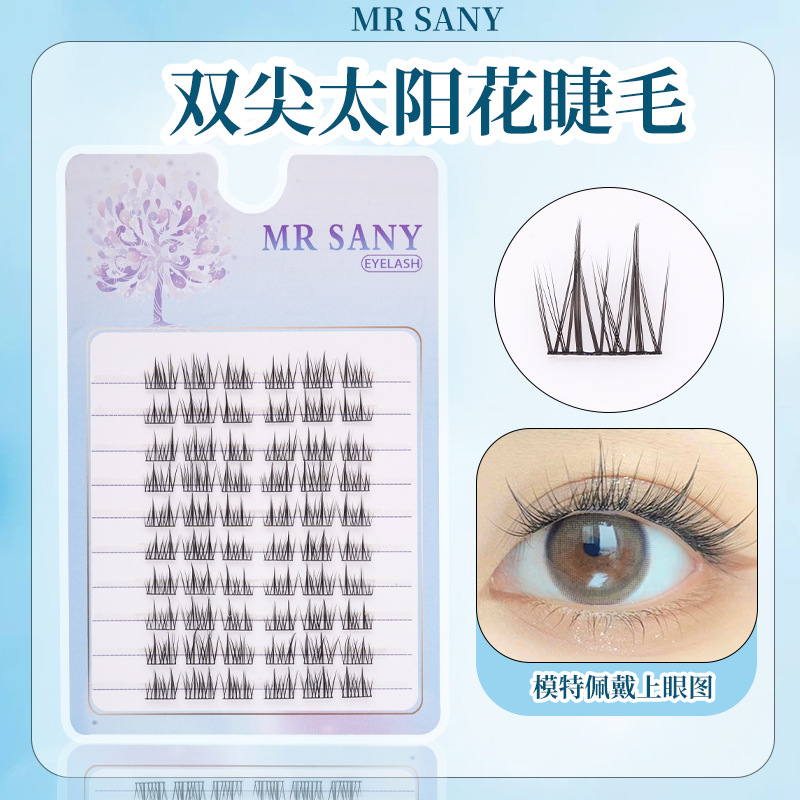 이중 뾰족한 해바라기