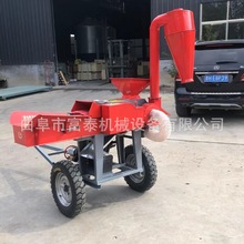 ɝţBֳݙC׽նCȫ厲C