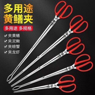 �๦�������A���Q�A�S�X�A�s���зȡ��A�L���Aʰ�������Q�h�l�A