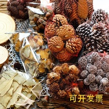 �ɹ����ľƬ�}�QС��֦�׃��@�ֹ�DIY�͹Ŕ[����̫��