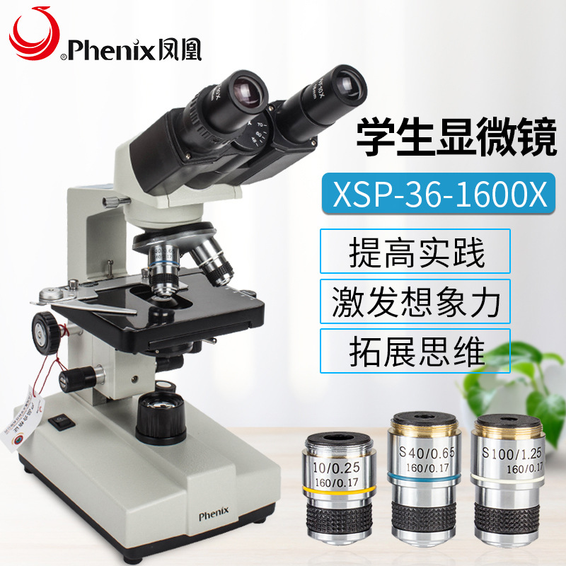 凤凰显微镜初中学校学生用双目光学显微镜xsp-36-1600倍学习科普