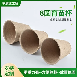 纸浆模塑;纸杯;一次性餐盒