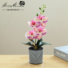 四花胶片蝴蝶兰盆景创意人造花家居摆件装饰品仿真花厂家仿真盆栽