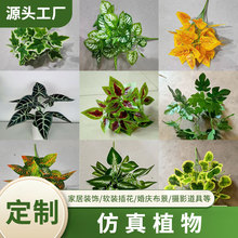 ���R�d���������~��7��Gֲ�쾰�b����l�G�}�ع��z������ֲ��