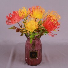 婚庆居家塑料仿真花 单支仿真针垫花 南非帝王花假花 厂家批发