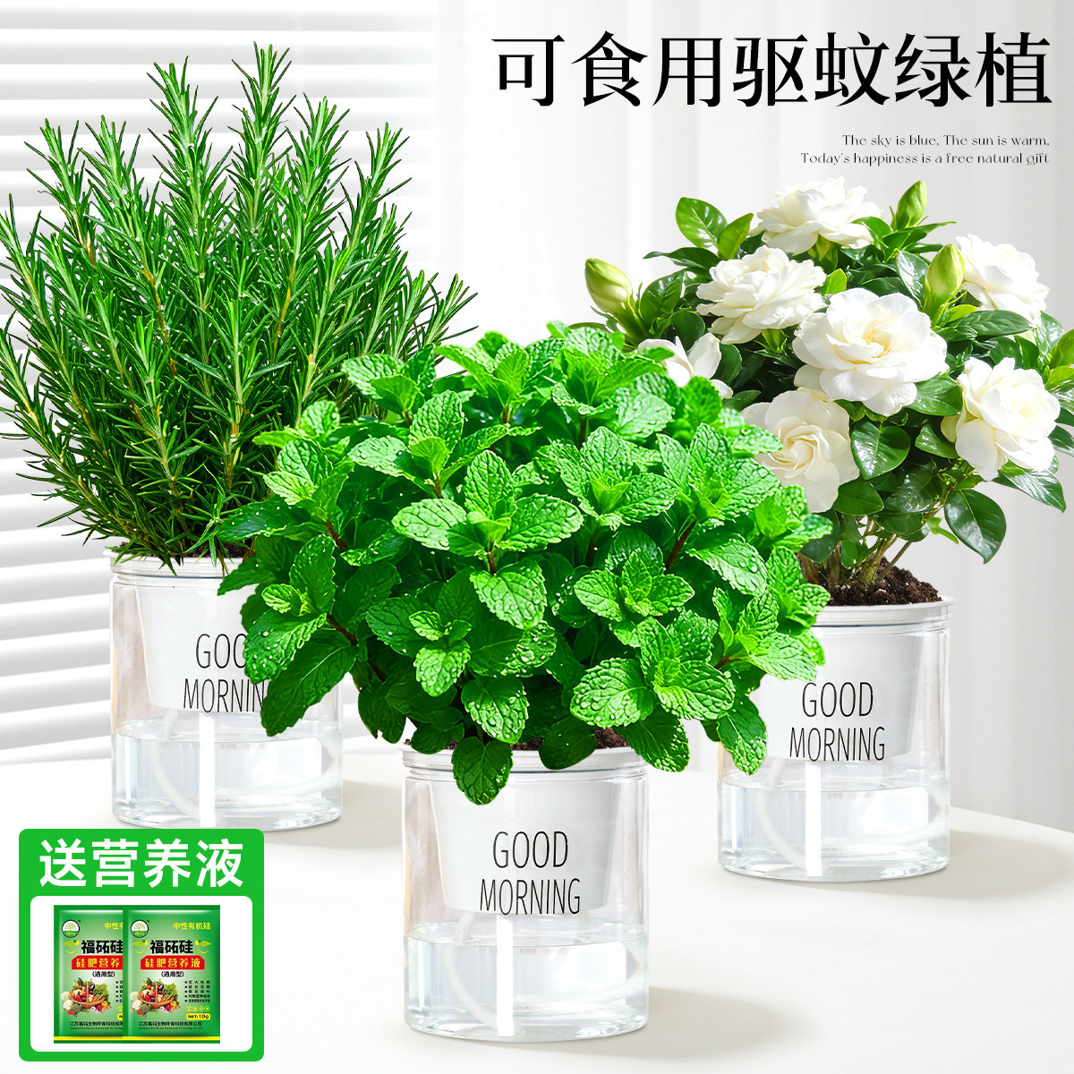 With simple planting pot