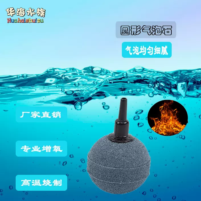 高温烧结氧气泡石气盘增氧爆气圆球形沙头鱼缸用品养鱼用水泵气泵