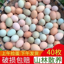 土雞蛋順豐可選農家散養新鮮農村林地笨雞蛋柴雞蛋草寶寶雞蛋跨境