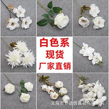 ��ɫ���滨��Y���öY��·���廨ɭϵ��c��̨�b�����Ż�����