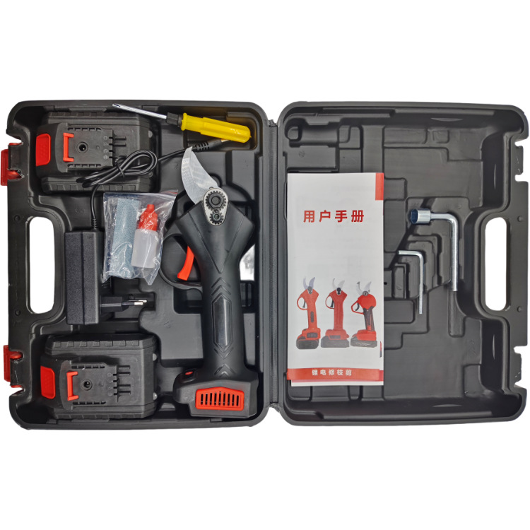 IMG_20241022_162517(2)