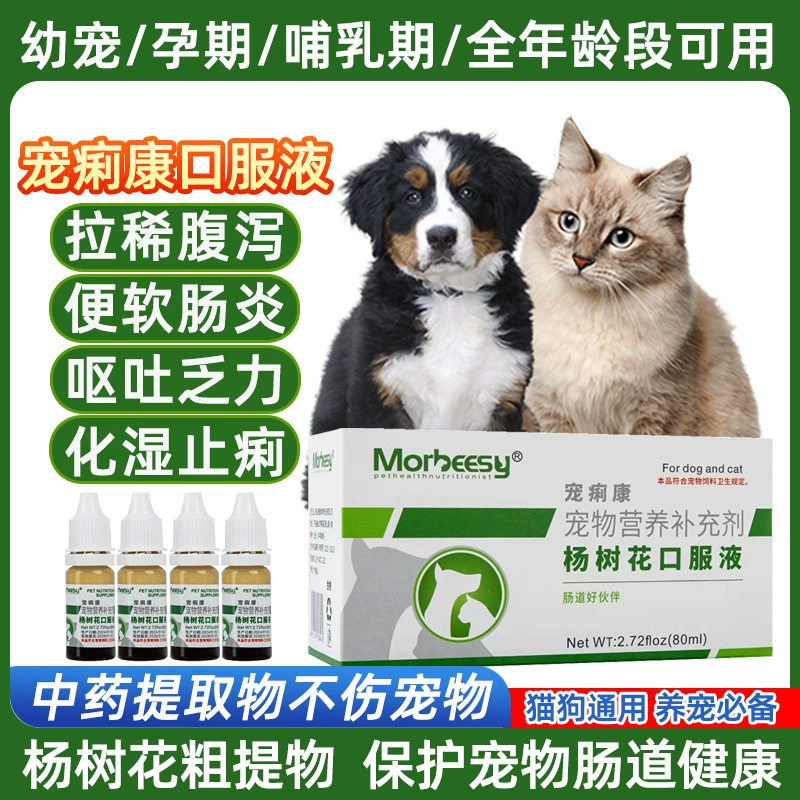 Лечение диареи у кошек и собак, желудочно-кишечные средства для собак и кошек с диареей, гриппом и специальной противодиарейной жидкостью для перорального применения, целая коробка