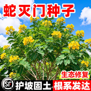 �ߜ��T�N�ӷ�����x������ؚ񤹤�̏;G�o�¹����׷Nֲ���ݷN��