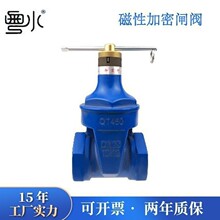 磁性闸阀4分6分1寸2寸防盗铸铁带锁钥匙软密封水表前开关加密阀门