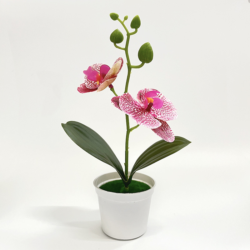 스팟 파우더 (높이 25*가로 13cm)