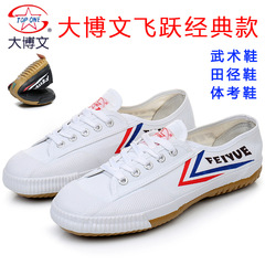 Dabowen martial arts shoes, track and field students, casual running shoes, men's and women's martial arts sports shoes, body test shoes, Tai Chi shoes