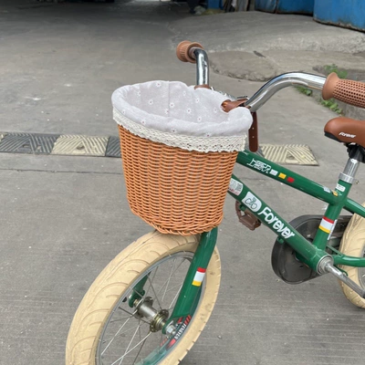 bicycle basket, imitation rattan vintage – Electric car tail box - brown-medium-size-with-lining-211616-default-item