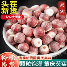 �͌�500g���r�ؑc��؛��ș����Ƿ���͌����u�^������޲�״Č�