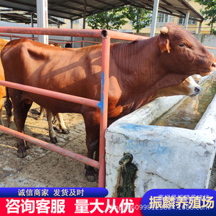 ��������300�^ ��ľٝţ ��ţ�كr�� ţ�� ����һ�����