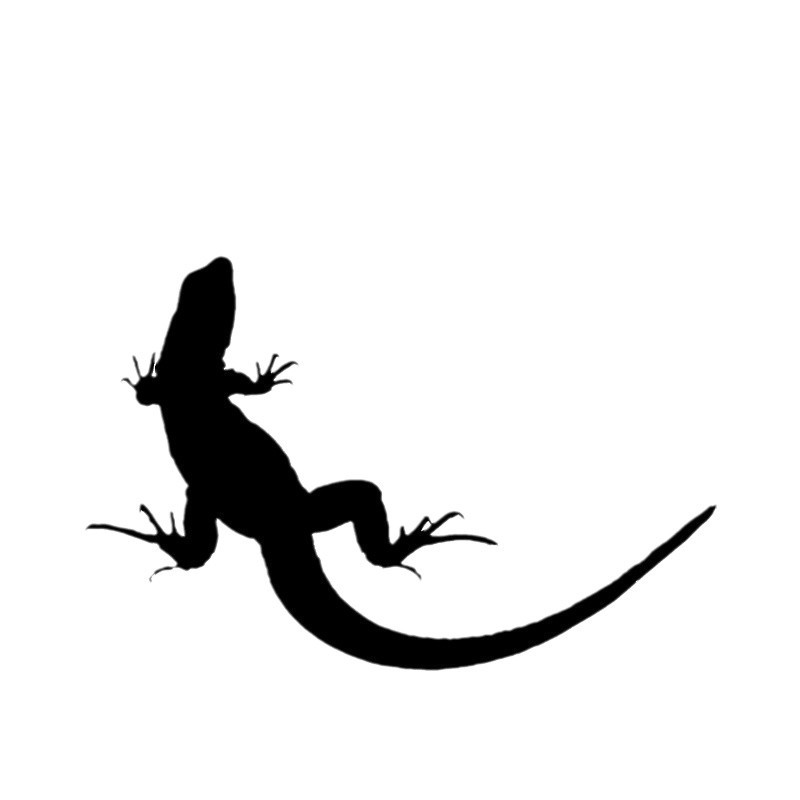 Kunst Aufkleber Eidechse Auto Aufkleber Gecko Kratzer Aufkleber Aufkleber Laptop Aufkleber_voghion.com