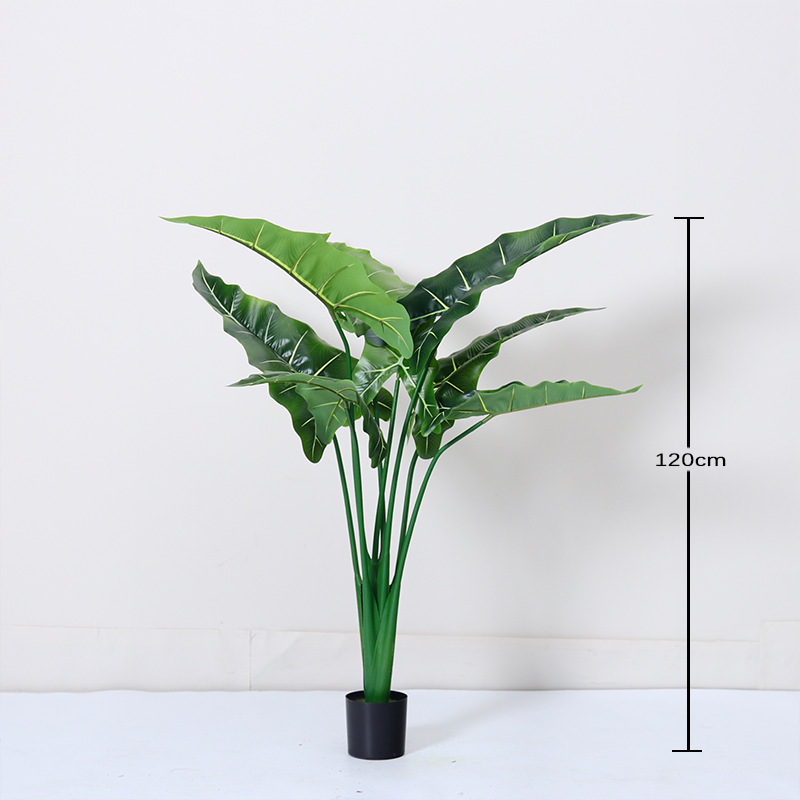 Simulación de estilo nórdico Alocasia, plantas verdes, plantas en macetas, ventanas de interior, decoración de piso a techo, paisajismo, plantas biónicas de Alocasia salis