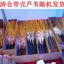 带壳芦苇鱼漂清仓芦苇罗非浮漂芦苇大物漂芦苇鱼漂批发不带漂管
