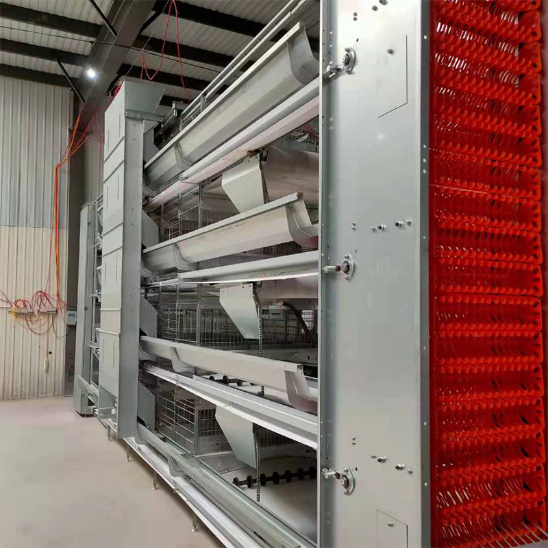 微信圖片_20250314155126