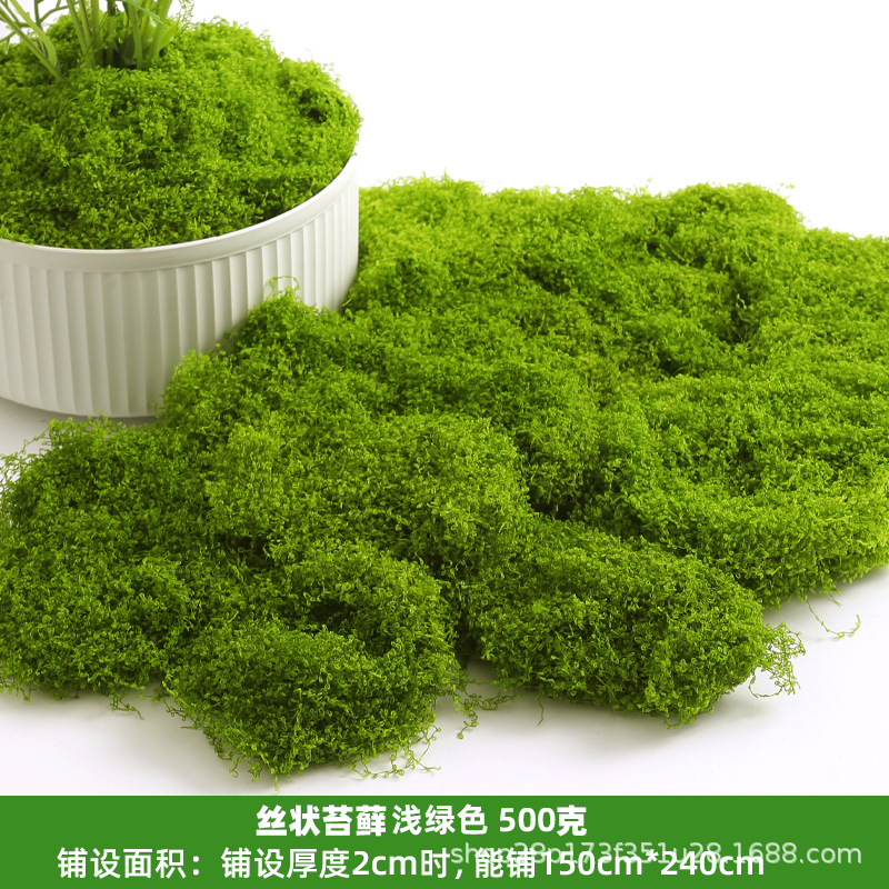 浅绿丝状苔藓500克(散装)